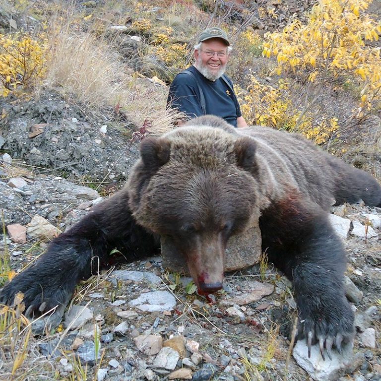 Grizzly Bear Hunting in Alaska Midnight Sun Safaris